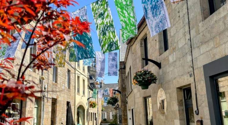 Pleasant rental apartment | Pets allowed in Roscoff