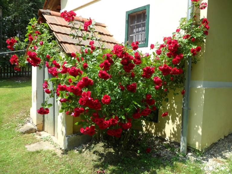 foto20