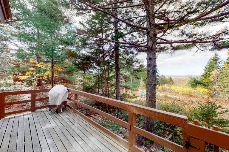 Cabin Bar Harbor