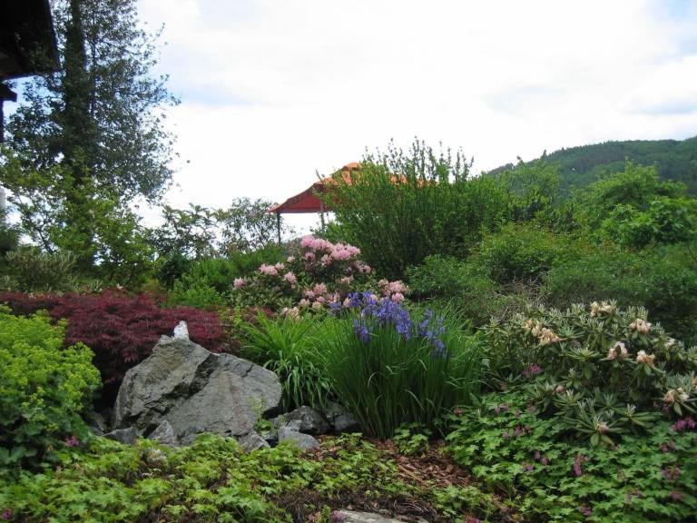 foto15