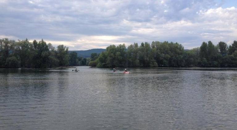 Apartment Ingelheim am Rhein