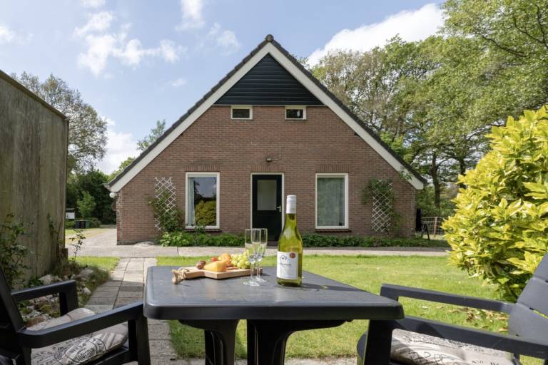 DG061 Ferienhaus im Dwingeloo