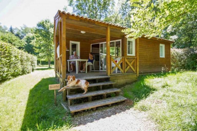 Children-friendly chalet with barbeque, terrace & pool | Pet-friendly — photo 5