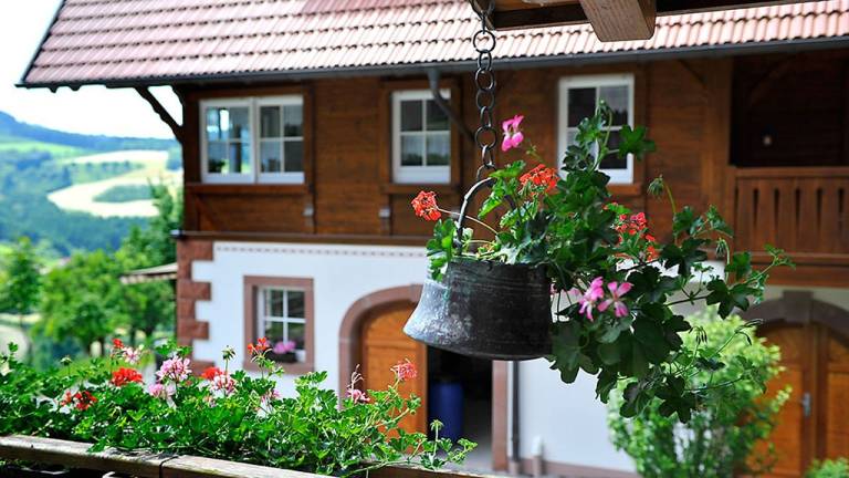 Ferienwohnung Haslach im Kinzigtal