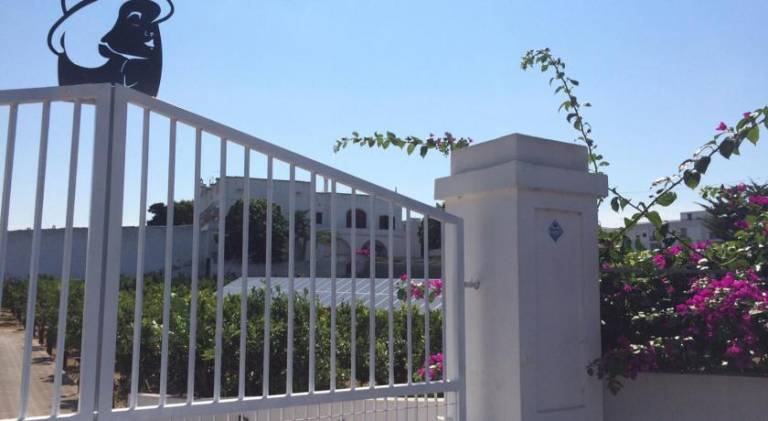 B&B Donna Luisa in Monopoli