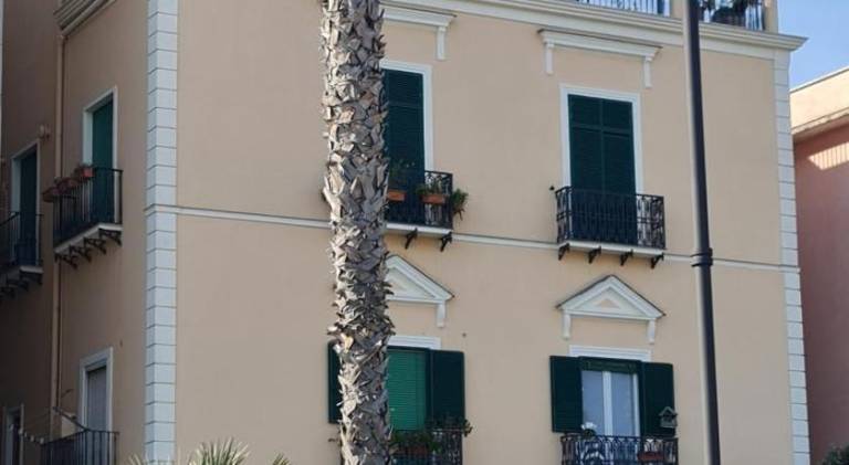 Holiday apartment for 4 persons — photo 4