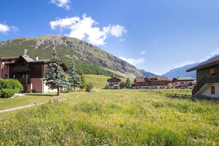 Apartment 'Appartamenti Lorenza 3 Baite Giotto' with Mountain View, Shared Garden and Wi-Fi — photo 4