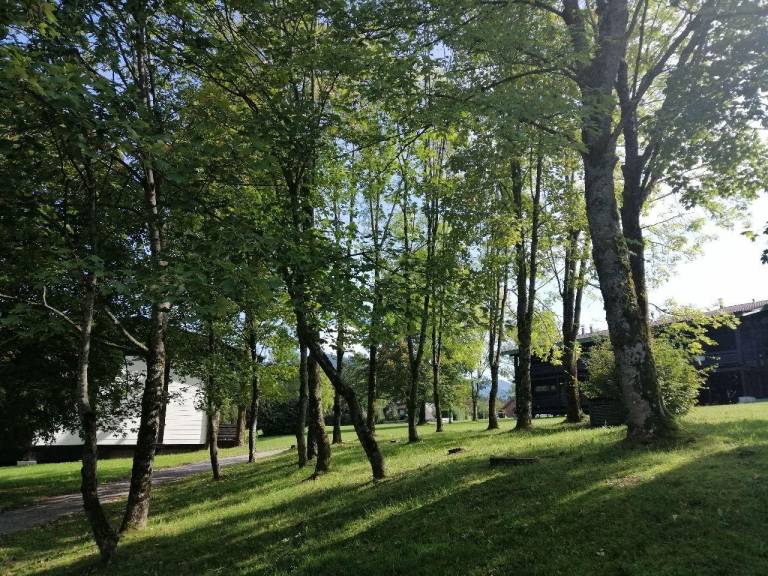 foto20
