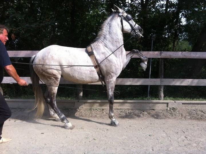 foto38