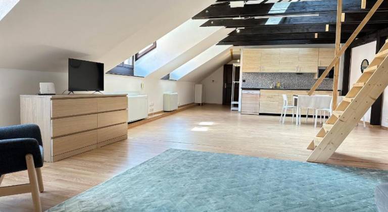 Ample holiday apartment | Close to Bratislava Castle | Suitable for remote work | Pets are welcome — photo 4