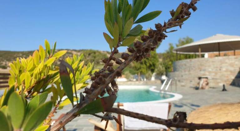 Anassa Cycladic Village in Syros