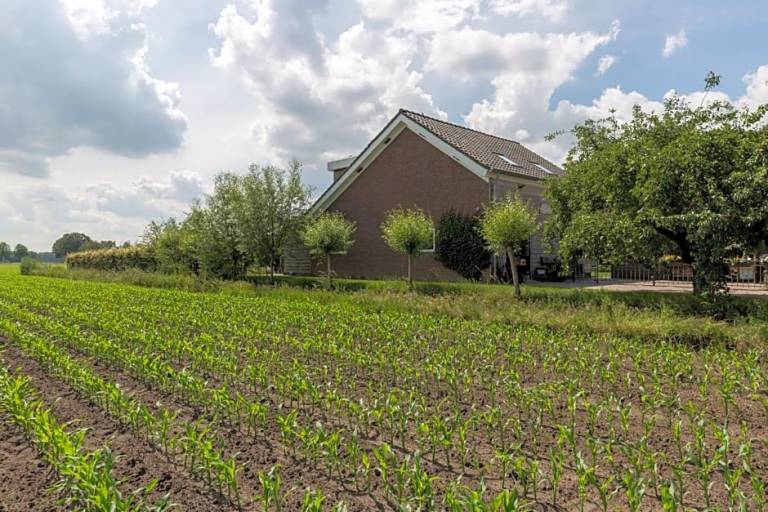 Quarto (B&B)  Tilburgo