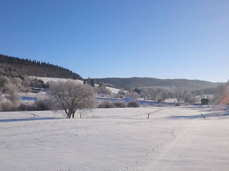 foto3
