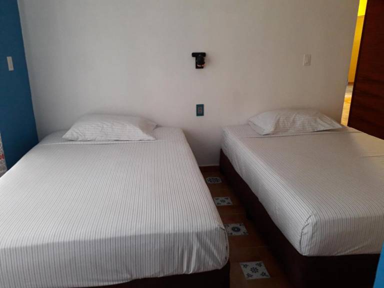 foto2