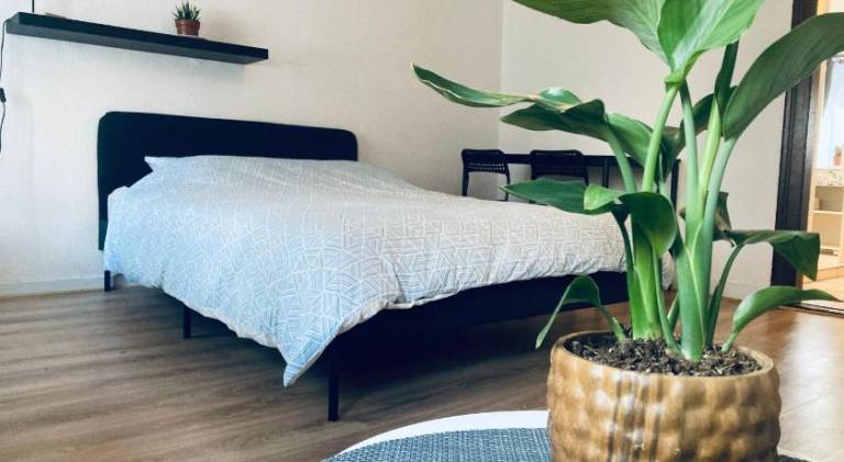 Lovely rental apartment | Pet-friendly in Ostwald