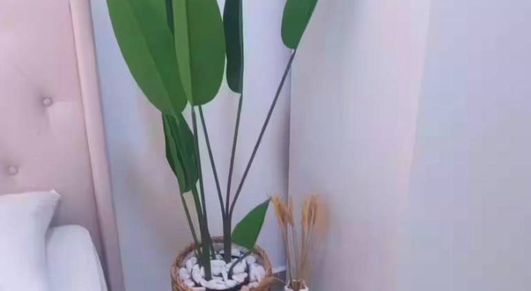 foto24