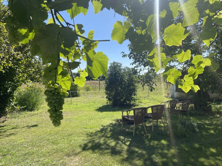 foto13