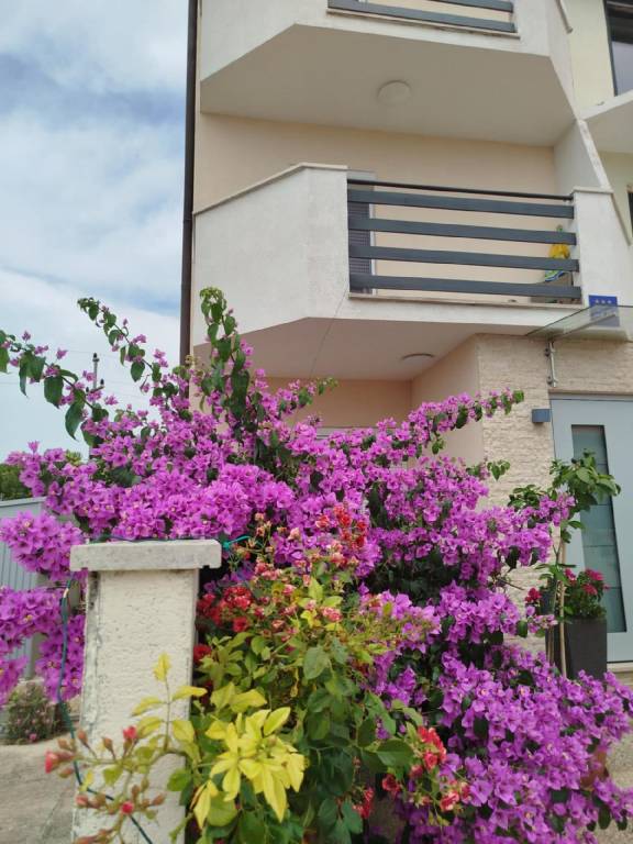 Apartman  Crveni Vrh