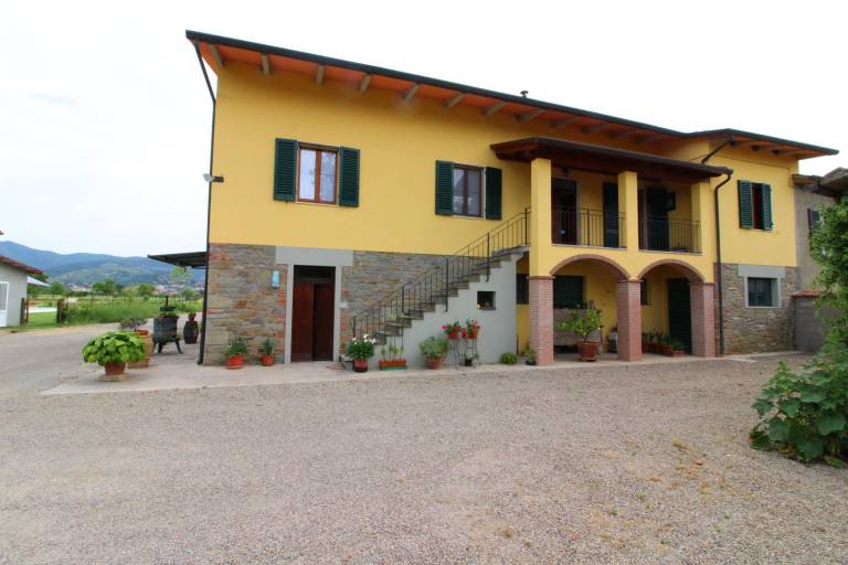 foto1