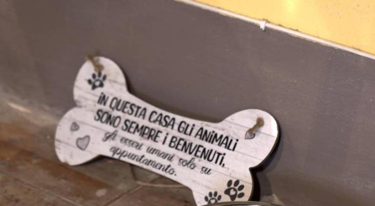foto41