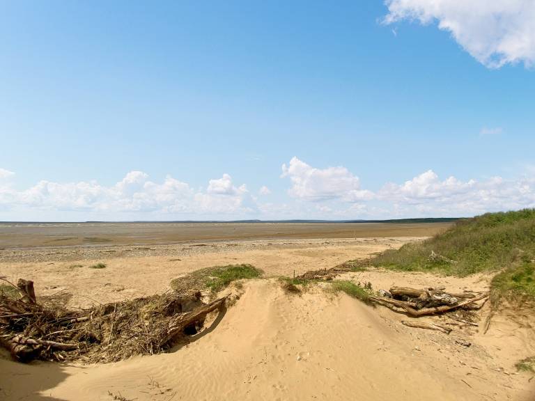foto15