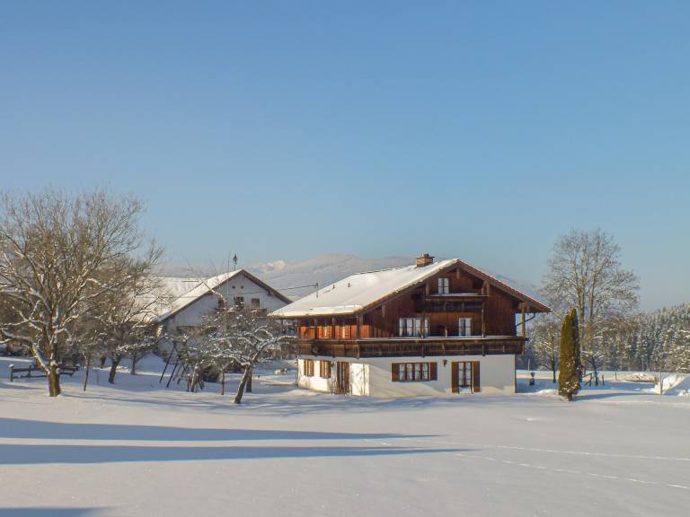 foto17