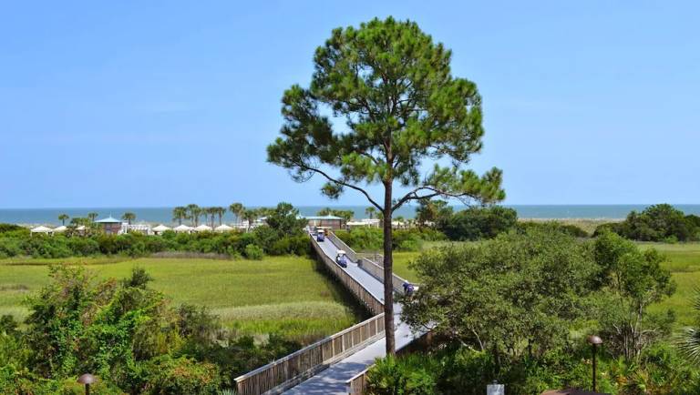 Resort  Palmetto Dunes