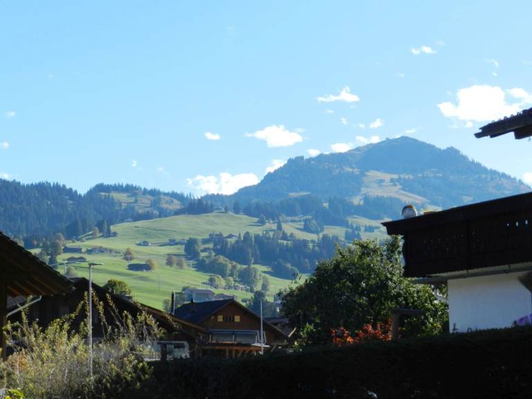 foto8