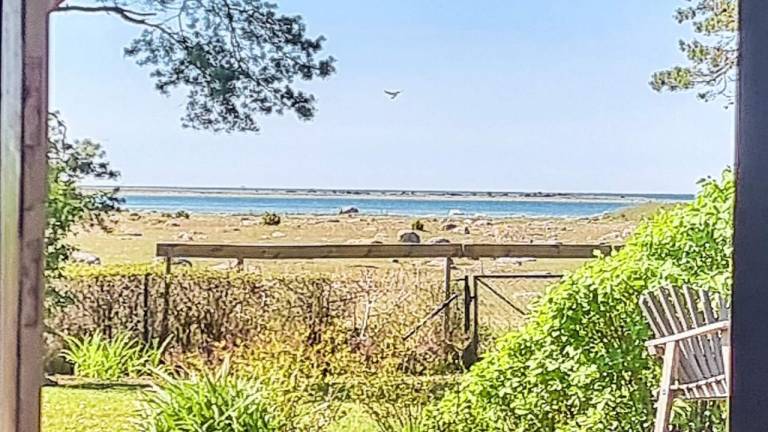 Ferienhaus Gotland
