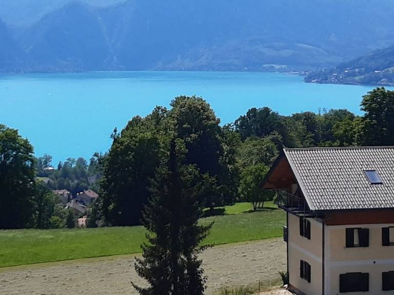 Ferienwohnung mit Hund in Steinbach am Attersee, Attersee f&uuml;r max. 4 Personen