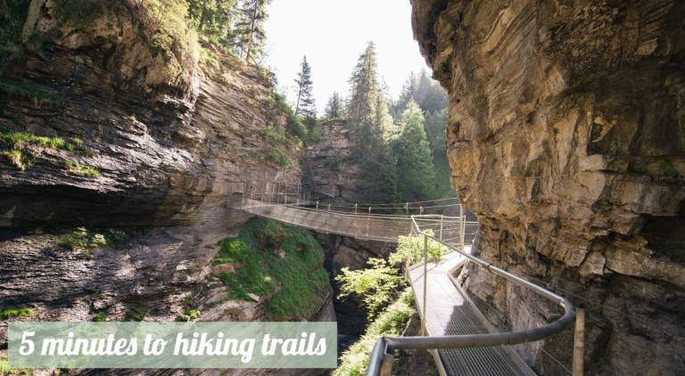 Ferienwohnung mit Hund in Leukerbad, Albinen für max. 4 Personen