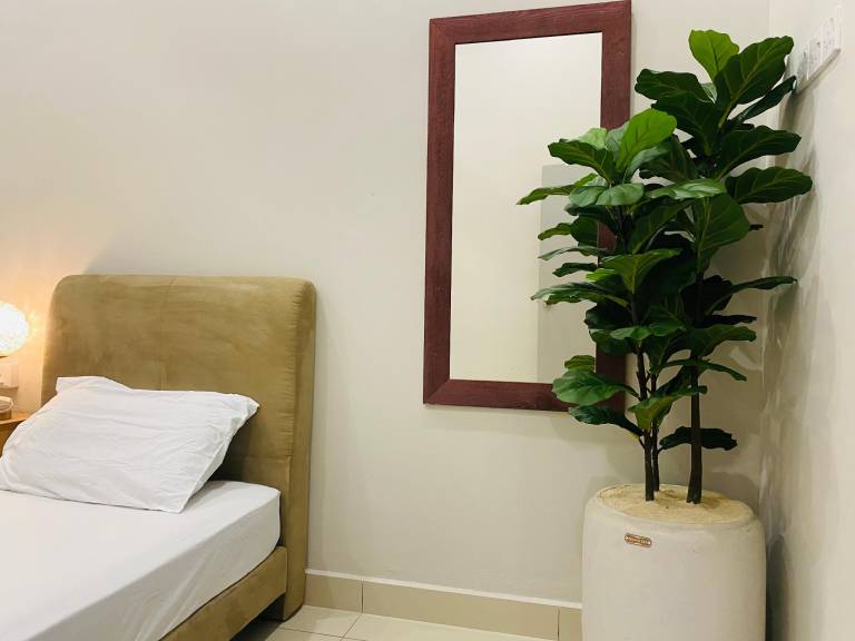 foto19