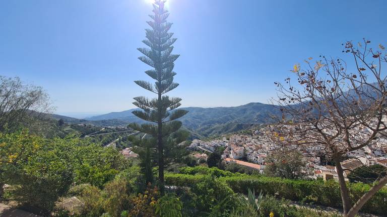 foto6