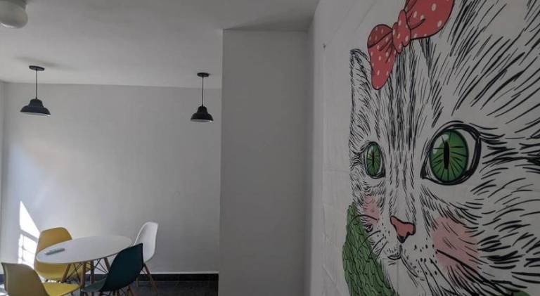 foto7