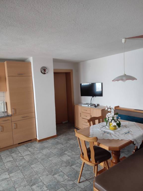 Apartment with patio & garden | Ski nearby | Pet-friendly — photo 4
