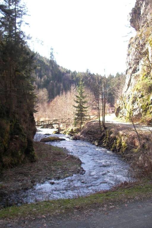foto38