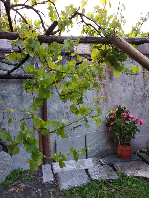 foto22