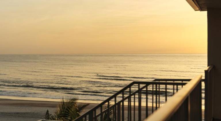 Atlantic Ocean Palm Inn — photo 3