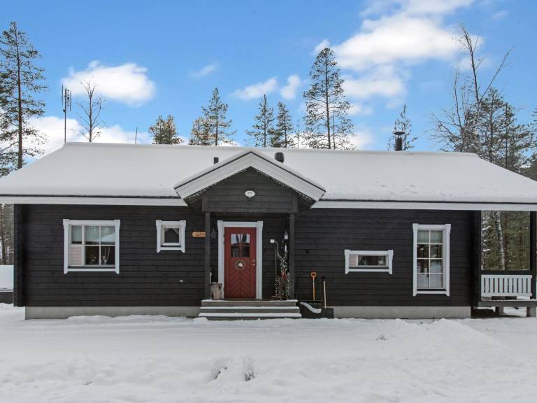 Vacation home with sauna — photo 4