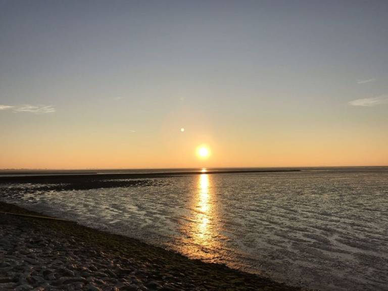 foto17