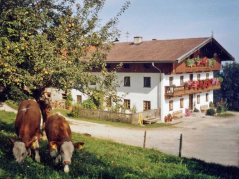 foto5