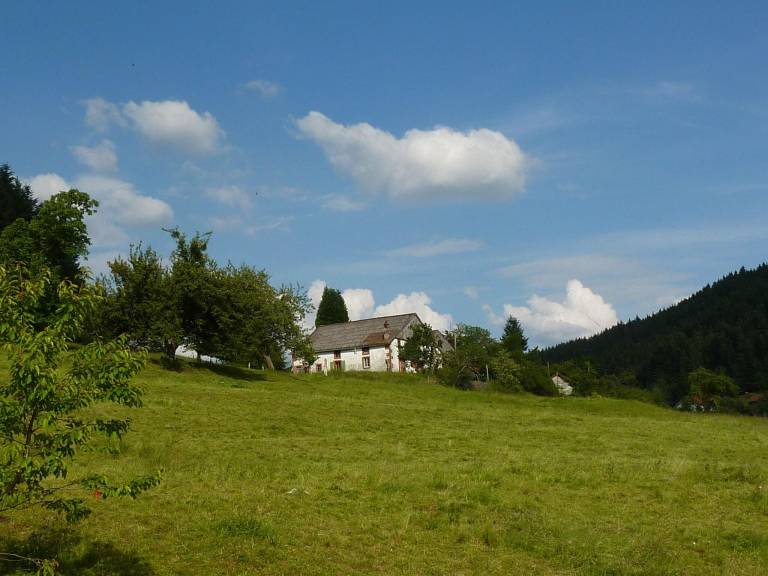 foto20
