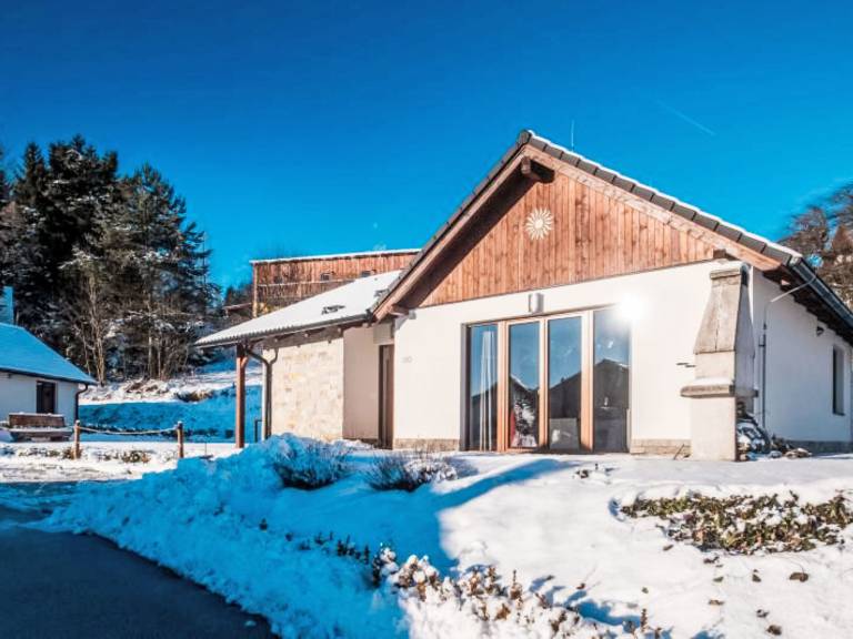 Ferienhaus Lipno nad Vltavou