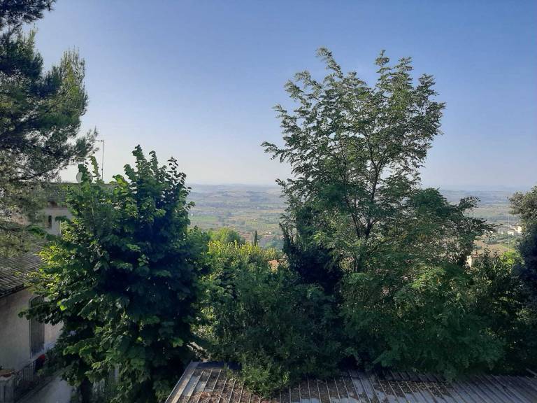 foto15