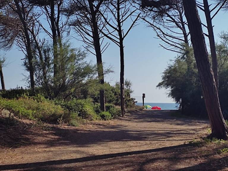 foto41