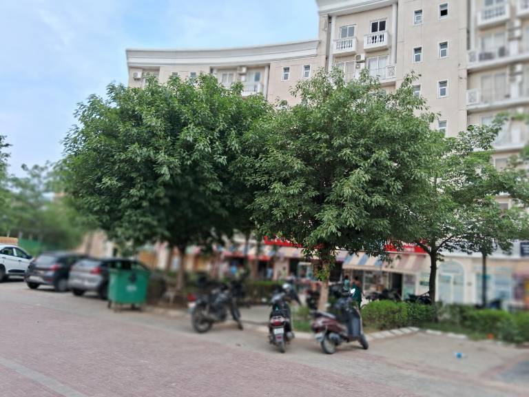 Divine Luxury Gateway — photo 3