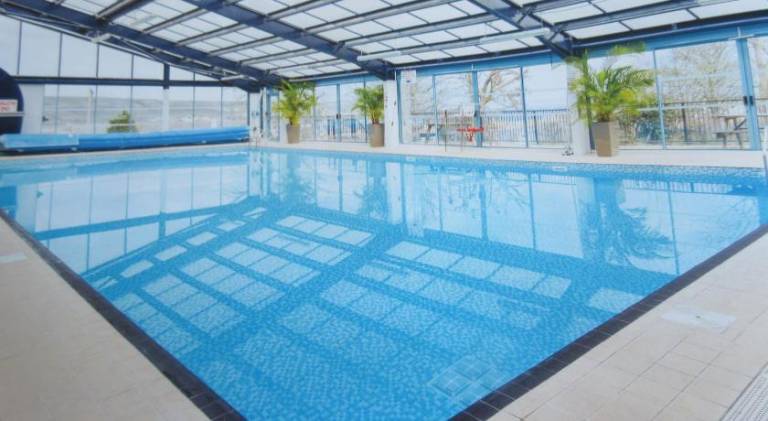 House with pool | Pets are welcome — photo 3