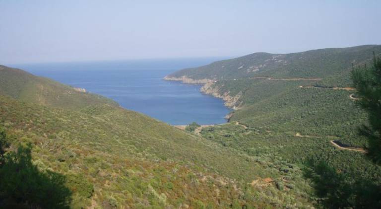 foto43