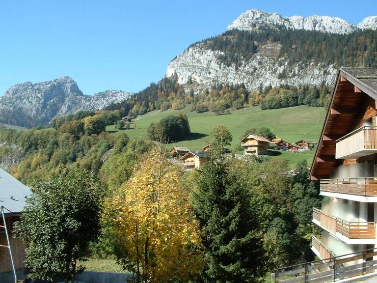 foto6