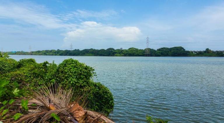 River View Mangalore — photo 4